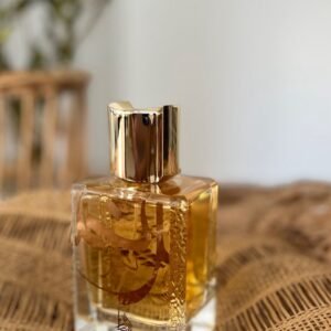 NIMR EDP AL ABSAR 100ML